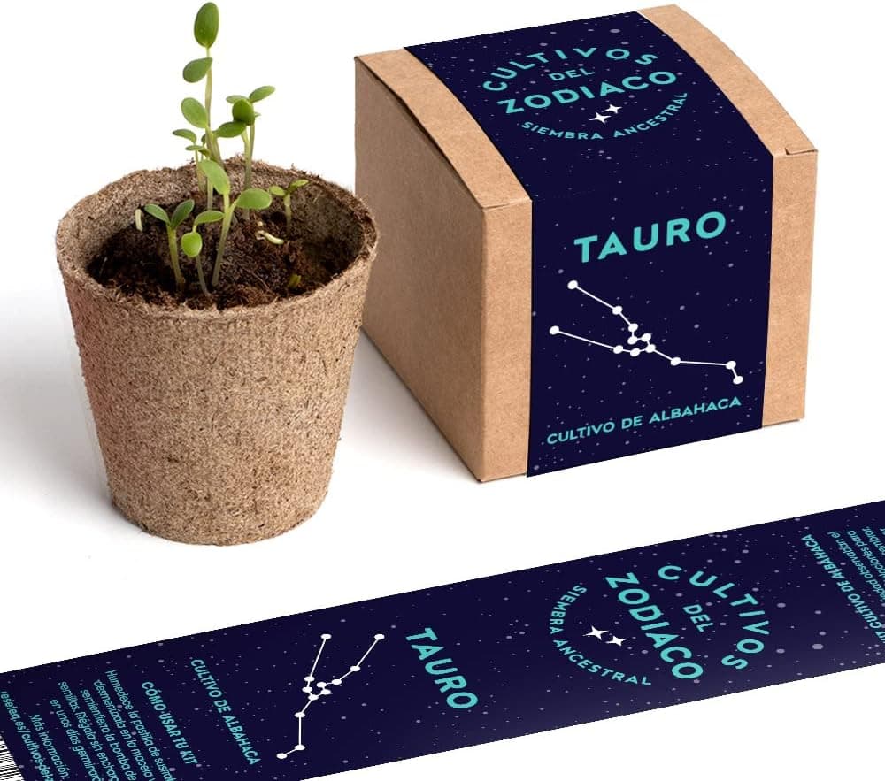 Kit de cultivo de albahaca del zodiaco para Tauro